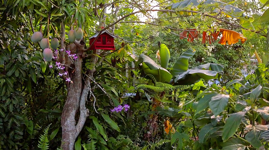 Food Forest